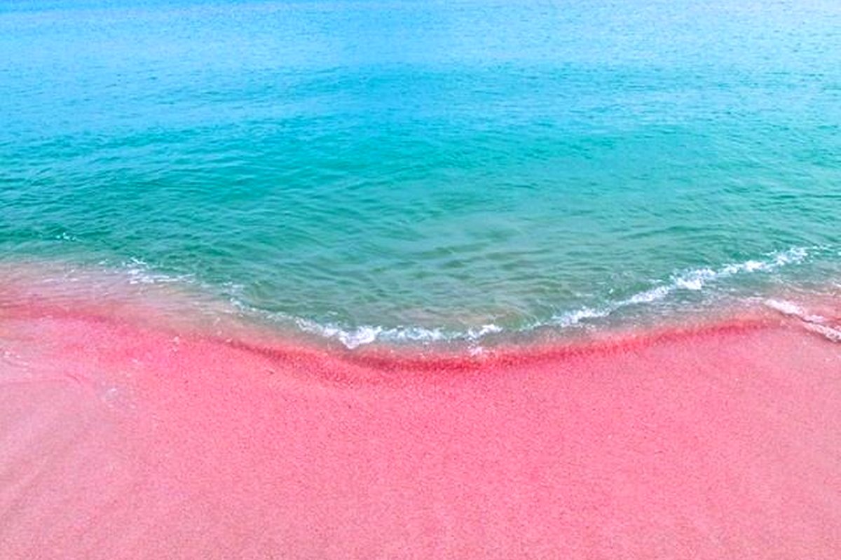 Pink sand beach shoreline in Barbuda